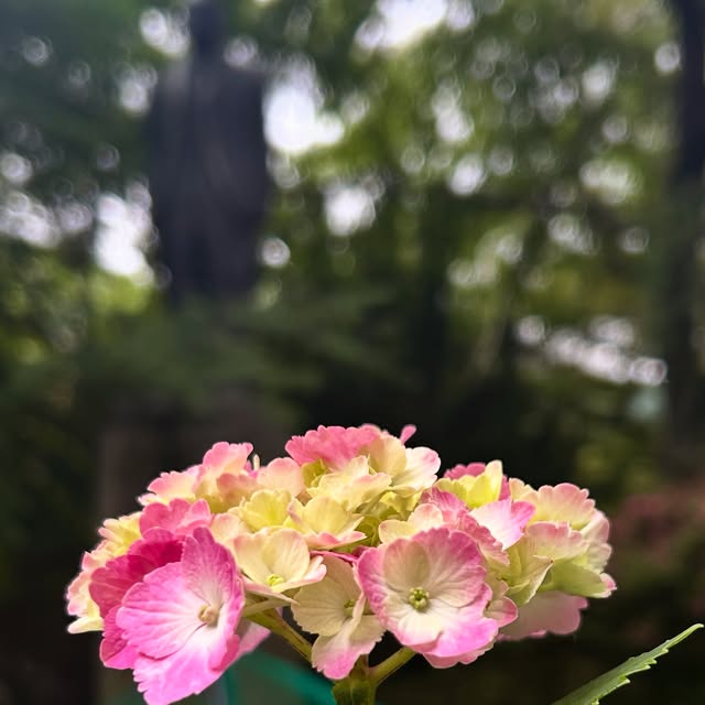 instagram-1780898095202-0.jpg