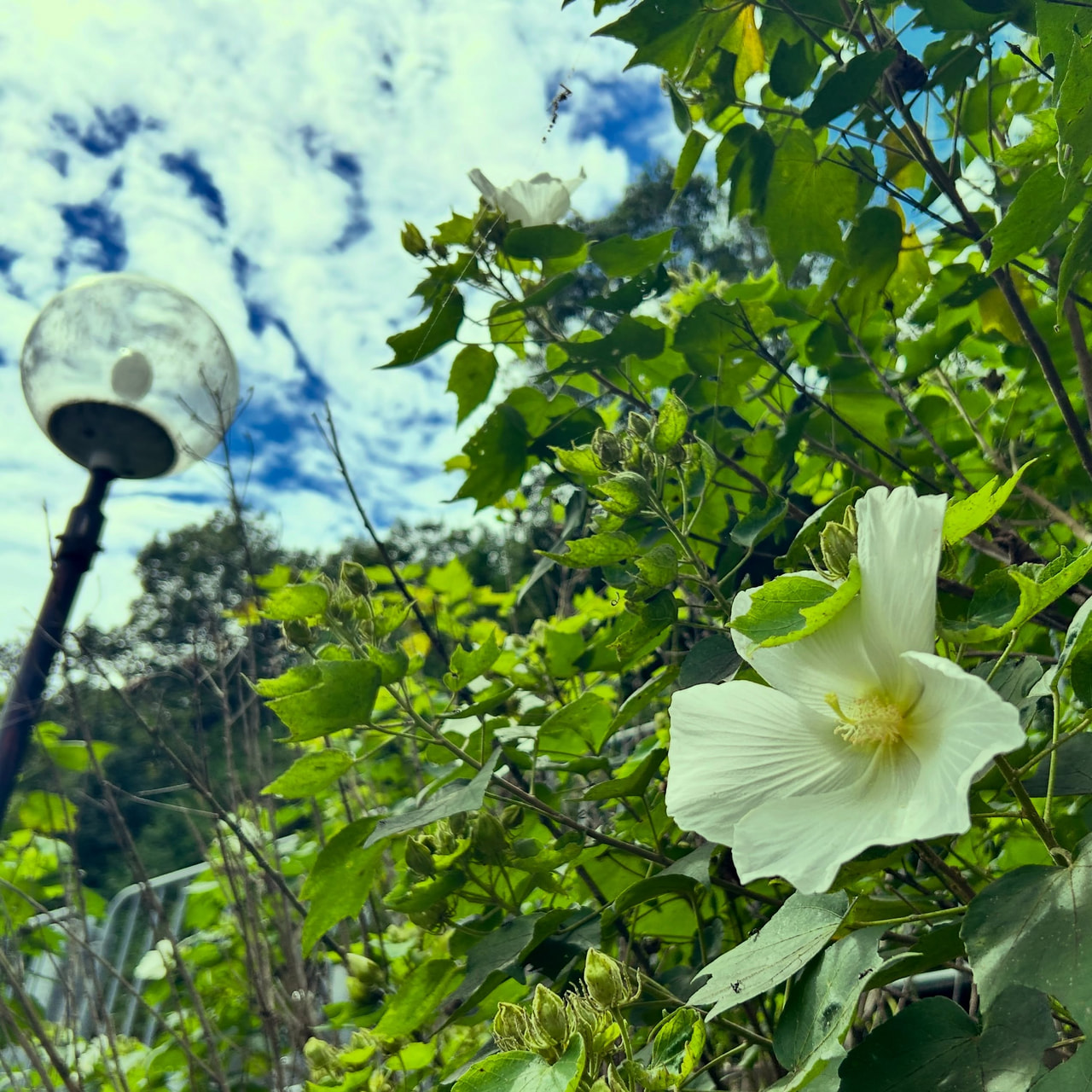 instagram-1790051094307-3.jpg